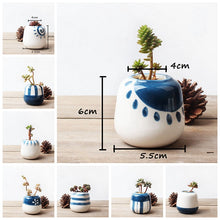 Set of 8 Hand Painted Mini Ceramic Succulent Pots